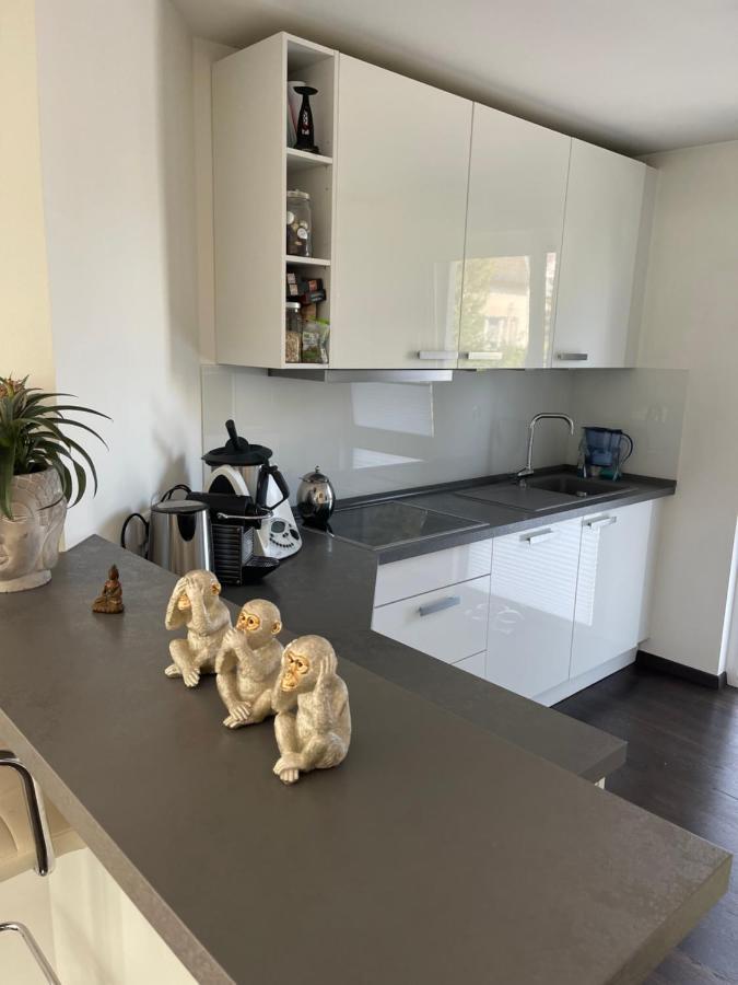 Gemuetliche Villa Am Waldrand In Taunusstein Kültér fotó